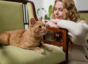 OVAKO MACE IZJAVLJUJU LJUBAV: 10 načina na koje mačke pokazuju vlasnicima da ih vole!