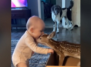 SCENA KOJA TOPI SRCA! Lane ljubi bebu, a njena reakcija je neverovatna! (VIDEO)