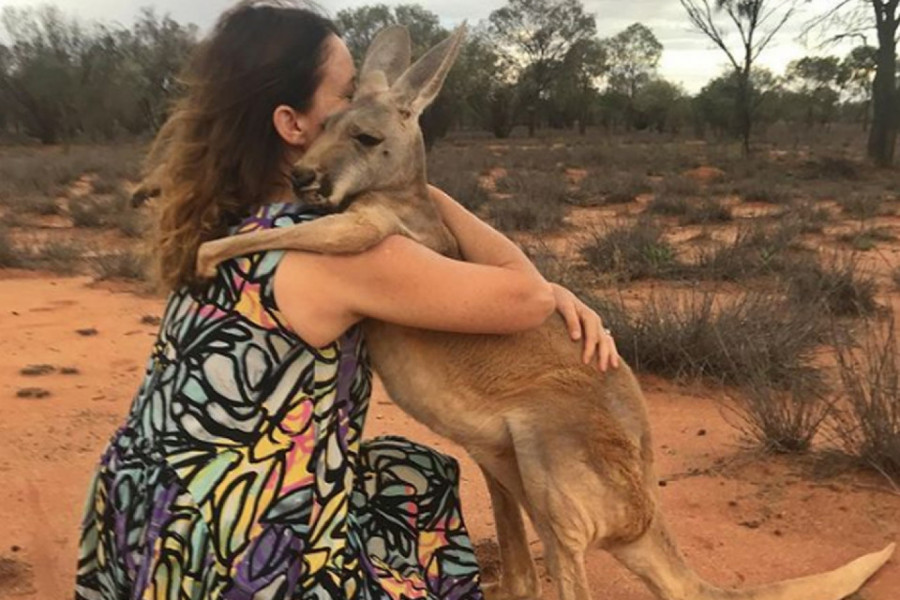 DA SE ORASPOLOŽITE: Upoznajte kengura koji grli ljude (FOTO + VIDEO)