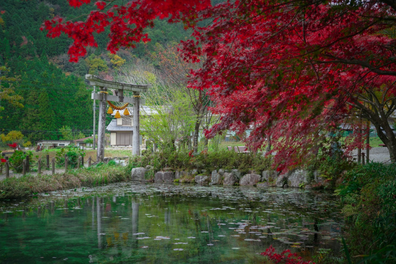 URADI SAM BAŠTA: 18 ključnih elemenata svakog japanskog vrta