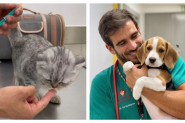 LEČI ŽIVOTINJE I OTAPA ŽENSKA SRCA: Ko ode kod ovog veterinara, neće nikada posetiti drugog