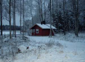 Idealn odmor u šumi pod snegom u Finskoj