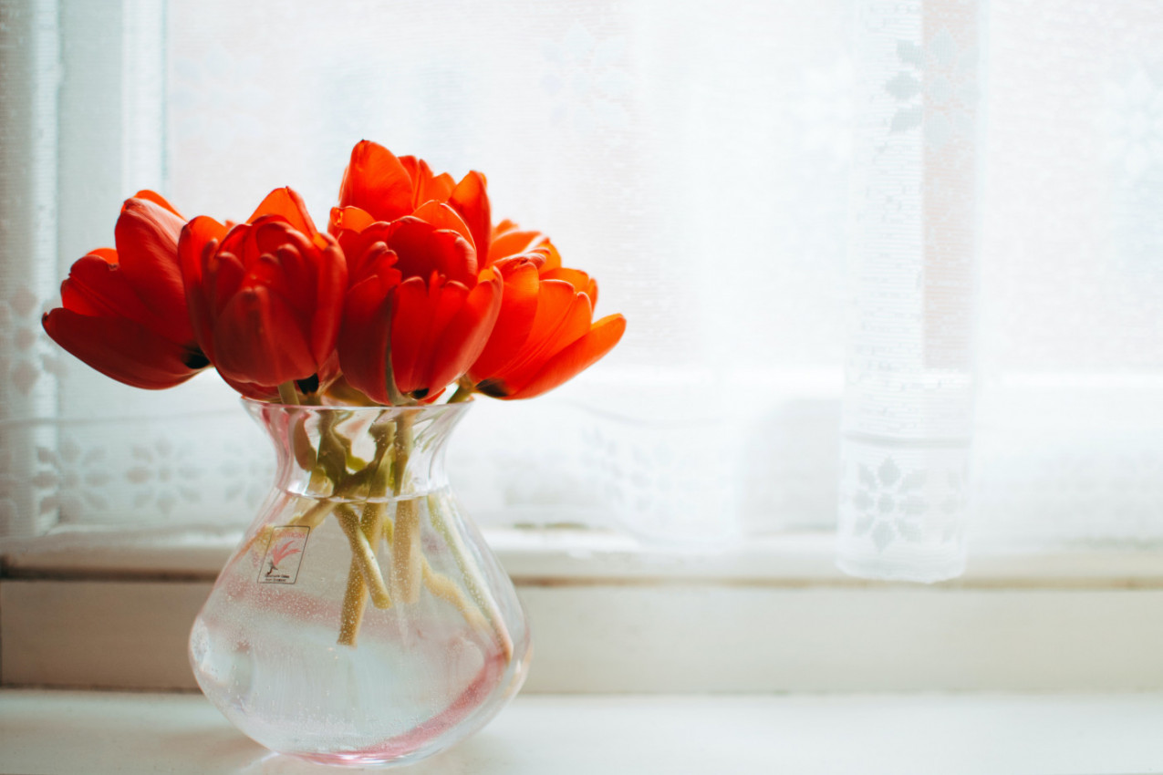 UČINITE DA VAŠA KUĆA IZGLEDA FANTASTIČNO: Ručno rađene vaze će vas oduševiti!