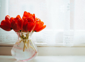 UČINITE DA VAŠA KUĆA IZGLEDA FANTASTIČNO: Ručno rađene vaze će vas oduševiti!
