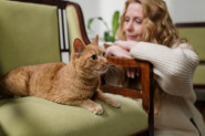 OVAKO MACE IZJAVLJUJU LJUBAV: 10 načina na koje mačke pokazuju vlasnicima da ih vole!