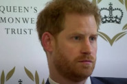 Princ Hari želi da se osveti kraljevskoj porodici, tvrdi kraljevski biograf