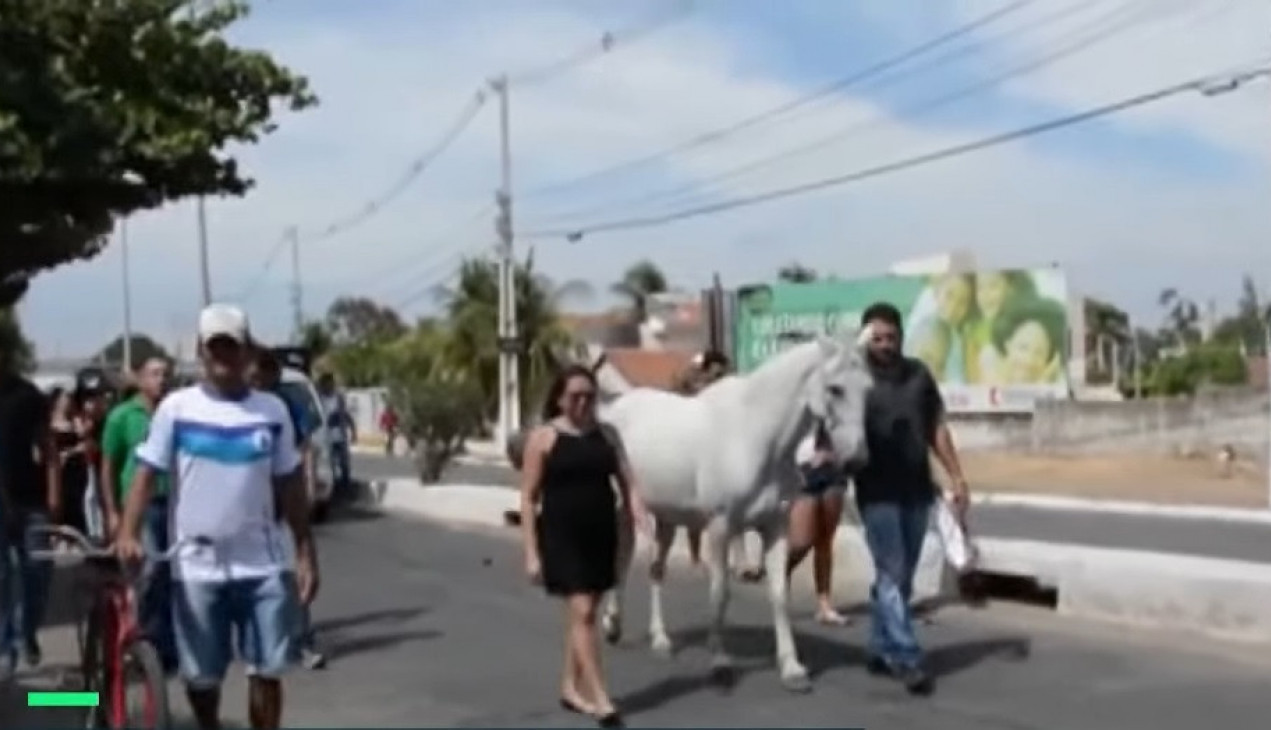 PRIZOR KOJI TERA SUZE NA OČI! Zbog reakcije ovog konja kada je prišao gazdinom kovčegu svi su uglas zaplakali! (VIDEO)