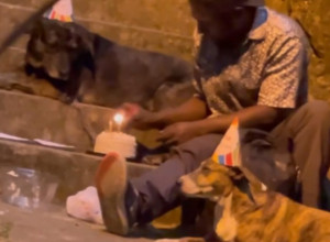 NIJE IMAO NI DOM NI SREĆU, SAMO PATNJU I NJIH: Snimak na kom momak s ulice proslavlja ROĐENDAN psima promenio je mnoge ŽIVOTE!