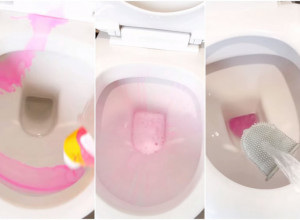 ŠTA TA ŽENA SIPA U WC ŠOLJU? Pomama na Instagramu zbog čišćenja toaleta namirnicom iz KUHINJE! (VIDEO)