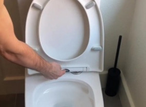 LJUDI ZGROŽENI! Muškarac otkrio kako očistiti dasku za WC šolju, pa izazvao žestoke reakcije! (VIDEO)
