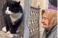 OVAJ VIDEO ĆE VAM PROMENITI DAN: Starica je prišla mački na ogradi, a zbog onog što je životinja uradila mnogi su zanemeli! (VIDEO)