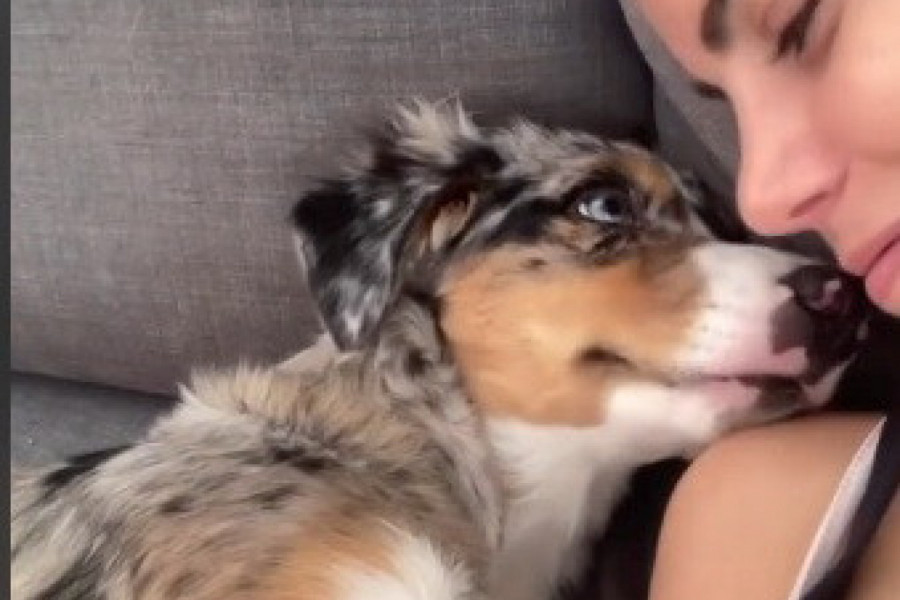 OVAJ SNIMAK OTOPIĆE VAM SRCA: Devojka je poljubila svog psića, a njegova reakcija raznežila je ceo svet (VIDEO)