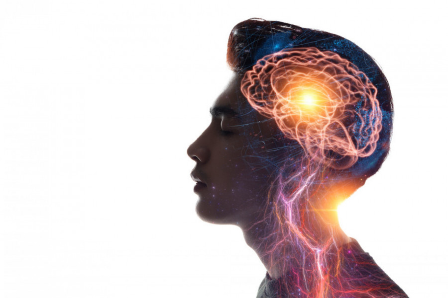 ŠTA U STVARI MEDITERANSKA ISHRANA RADI NAŠEM MOZGU? Najnovija studija pokazala je zapanjujuće rezultate!