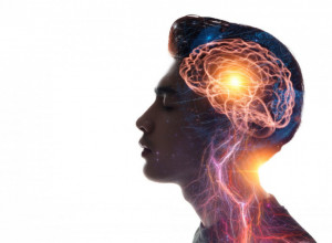 ŠTA U STVARI MEDITERANSKA ISHRANA RADI NAŠEM MOZGU? Najnovija studija pokazala je zapanjujuće rezultate!
