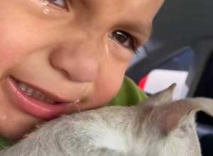 SNIMAK KOJI KIDA SRCE I DUŠU: Dečak plače kao kiša, stiska psa uz sebe i ne želi da se odvoji od njega  (VIDEO)
