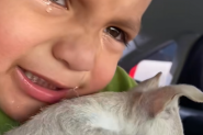 SNIMAK KOJI KIDA SRCE I DUŠU: Dečak plače kao kiša, stiska psa uz sebe i ne želi da se odvoji od njega  (VIDEO)