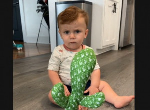 "MAJKA NIJE TREBALO OVO DA MU URADI": Maleni dečak se uplašio igračke, telo mu se trzalo od straha dok je gledao čudnu biljku! (VIDEO)