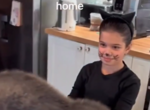 DEVOJČICA SE MASKIRALA U MACU, A ONDA JE PRIŠLA LJUBIMCU SVOJE BAKE: Reakcija ove mačke nasmejala je sve do suza! (FOTO+VIDEO)