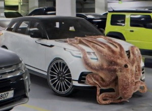 SCENA ZBOG KOJE ĆETE U NEVERICI TRLJATI OČI: Hobotnica opkolila automobil, vlasnik izbezumljeno posmatrao sa strane! (VIDEO)