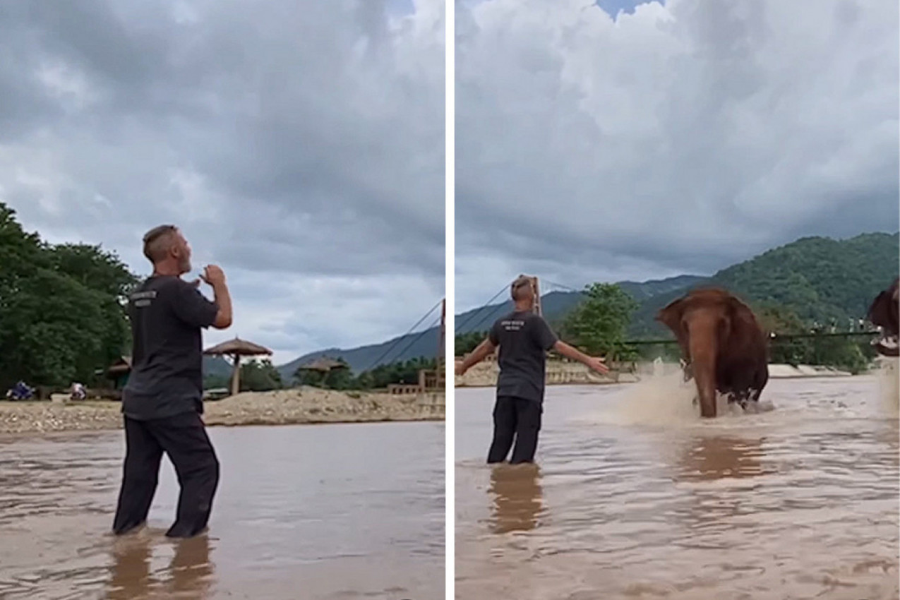 STAJAO JE U VODI DO KOLENA: Svima je zastao dah kad su slonovi krenuli na njega! (VIDEO)