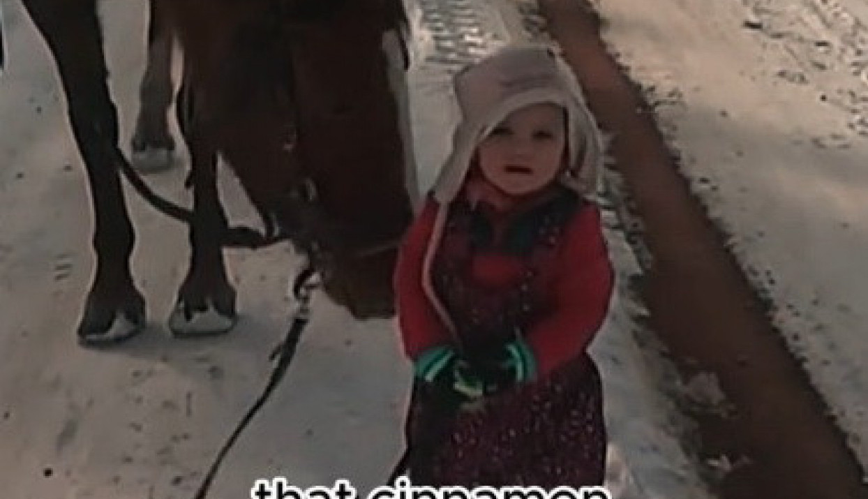 IMA LI SLAĐE OD OVOGA: Devojčica koja vodi konja po snegu i sluša uputstva svog oca će vam rastopiti srce!