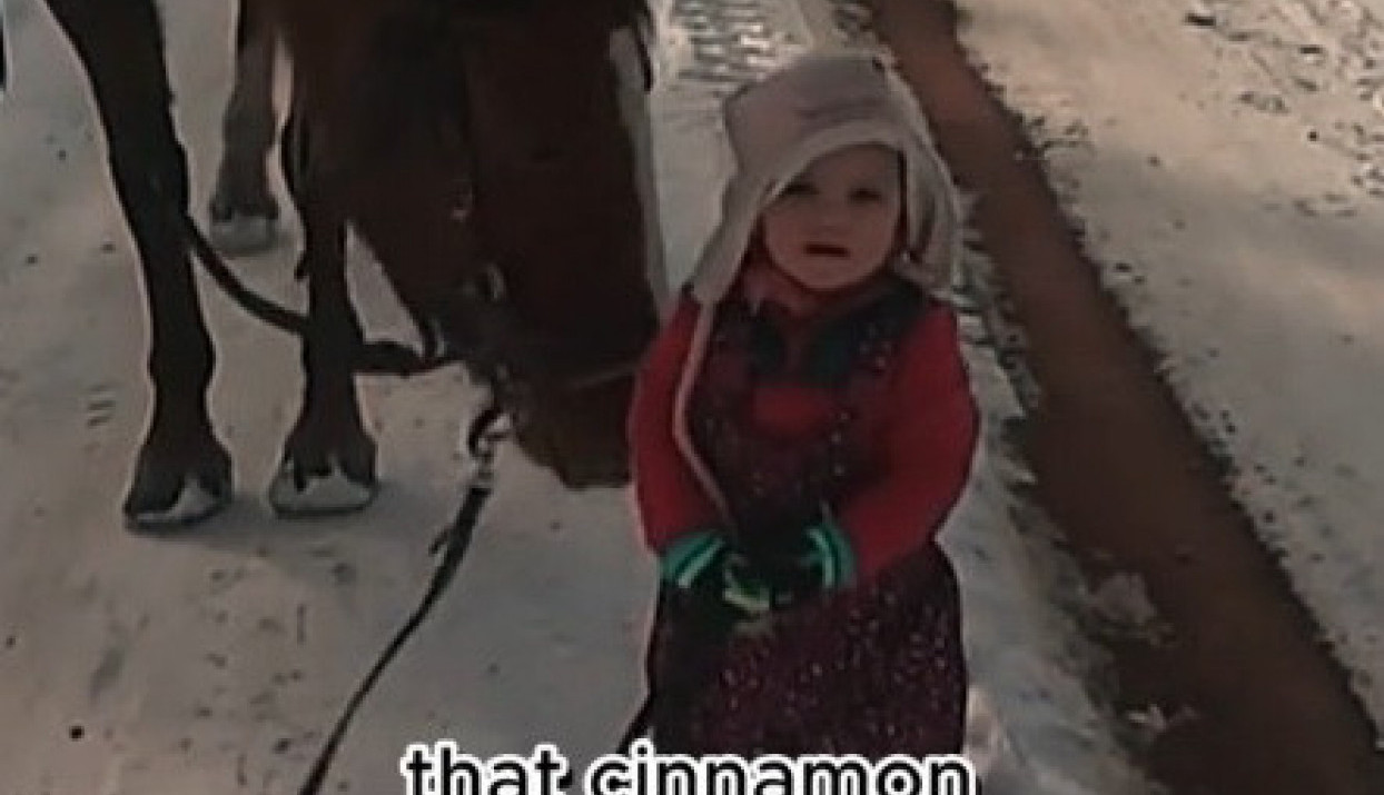 IMA LI SLAĐE OD OVOGA: Devojčica koja vodi konja i šeta sa ocem će vam rastopiti srce (VIDEO)