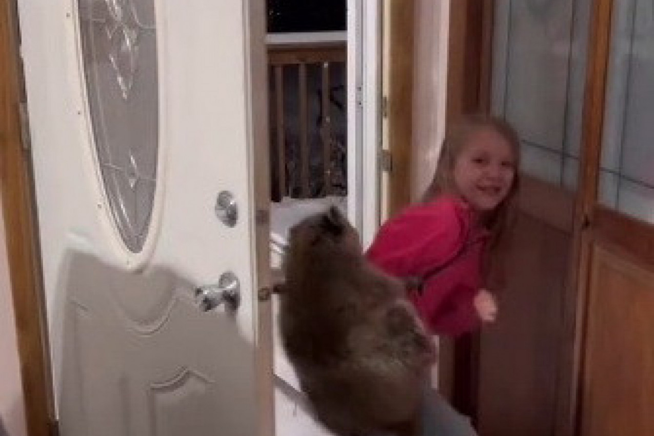 "VIDI, PRONAŠLA SAM MAČKU": Otac se šokirao kad je shvatio koju životinju je njegova ćerka unela u kuću! (VIDEO)