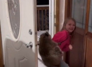 "VIDI, PRONAŠLA SAM MAČKU": Otac se šokirao kad je shvatio koju životinju je njegova ćerka unela u kuću! (VIDEO)