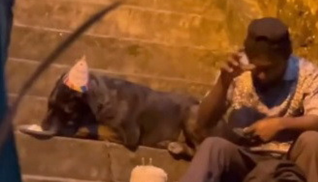 EMOTIVNA SCENA NA ULICI DIRNULA LJUDE: Beskućnik okružen psima slavio je rođendan, svi su mu poručili samo jedno! (VIDEO)
