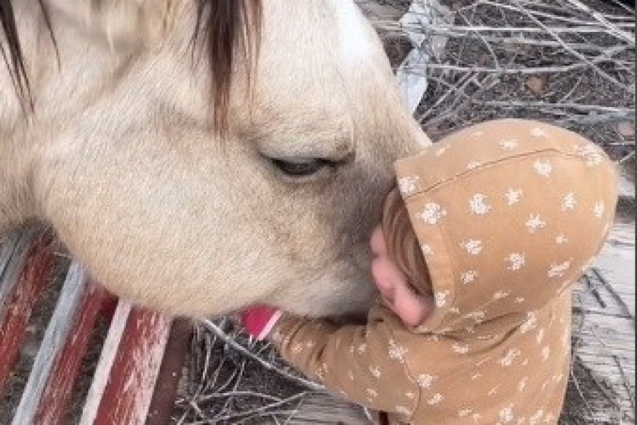 OVAJ SNIMAK ULEPŠAĆE VAM CELU NEDELJU: Devojčica je prišla konju, a njihov zagrljaj otopio je i najtvrđa srca (VIDEO)