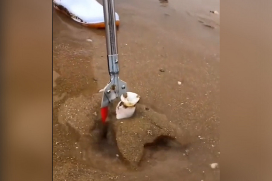 PAZITE KAKO HODATE NA PLAŽI: Iz peska virila školjka, a kada je čovek povukao - izašla je morska neman! Ljudi su izbezumljeni (VIDEO)