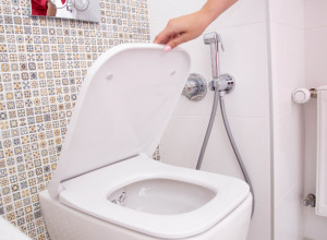 EVO KOLIKO ČESTO MORATE DA MENJATE DASKU NA WC ŠOLJI! Najmanje 2.555 puta godišnje odete u tolet, a ovo zaboravljate!