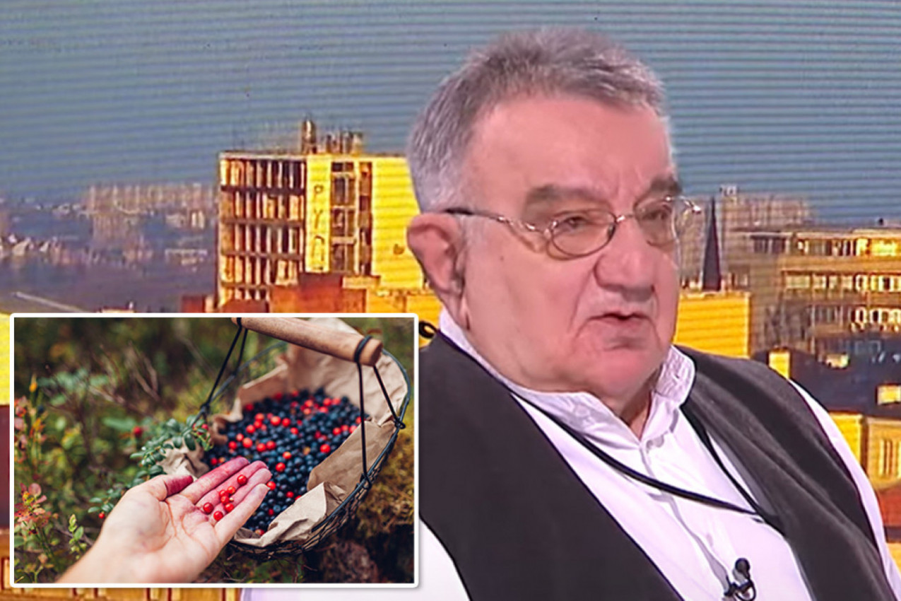 DR VOJA PREPORUČIO ZABORAVLJENI NAPITAK: Pravi se od voća bez trunke pesticida i čini čuda za zdravlje!