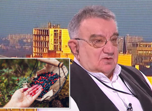 DR VOJA PREPORUČIO ZABORAVLJENI NAPITAK: Pravi se od voća bez trunke pesticida i čini čuda za zdravlje!