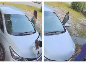 SELA JE U AUTO, A NJENA ĆERKA JE SLUČAJNO OTVORILA HAUBU: Istog trena se prolomio vrisak od prizora koji je tamo zatekla! (VIDEO)