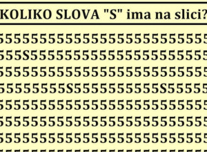 SAMO 2 ODSTO LJUDI OVO MOŽE DA REŠI ZA 9 SEKUNDI, KOLIKO SLOVA "S" IMA NA SLICI? Mozgalica koja će vas izludeti