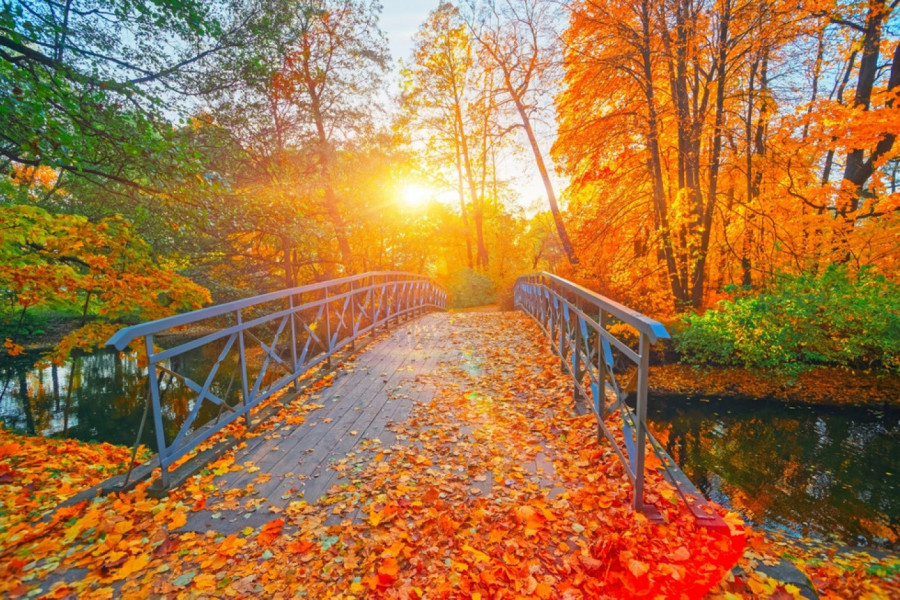 Da li postoji nešto lepše od zimskog sunčanog dana?