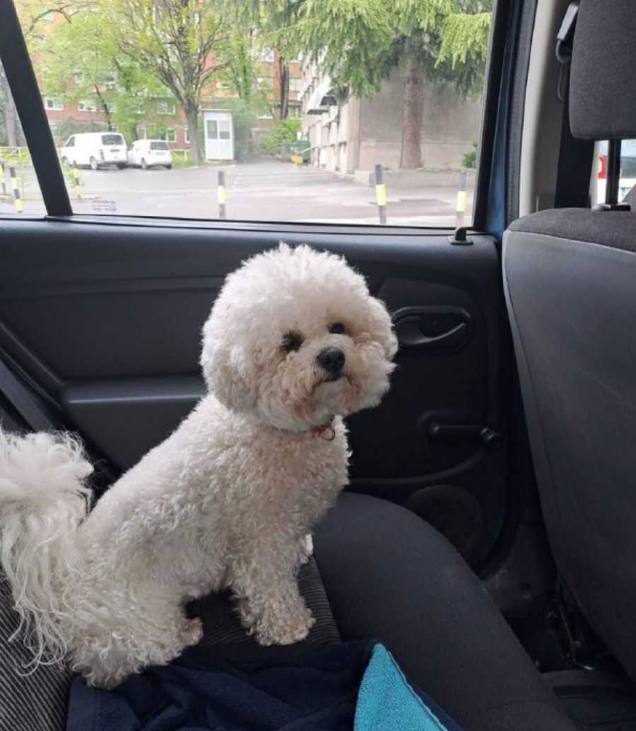 Mama i tata imaju najbolje ocene