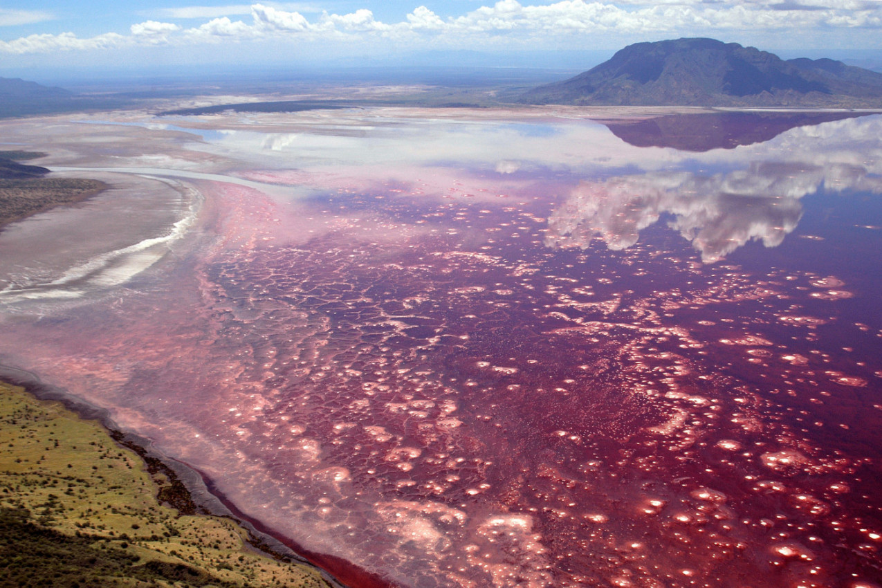 OVO JE NAJSMRTONOSNIJE JEZERO NA SVETU I KRIJE JEZIVU TAJNU! Životinja u njega upadne živa, a evo kako izađe - turistima se govori samo jedno kada tamo kroče! (FOTO)