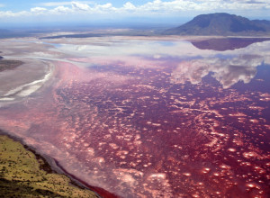 OVO JE NAJSMRTONOSNIJE JEZERO NA SVETU I KRIJE JEZIVU TAJNU! Životinja u njega upadne živa, a evo kako izađe - turistima se govori samo jedno kada tamo kroče! (FOTO)