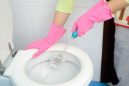 STRUČNJACI TVRDE, OVO JE JEDINI PRAVILAN NAČIN ZA PRANJE ČETKE ZA WC ŠOLJU: Jednu grešku svi prave, proverite da li i vi to radite!
