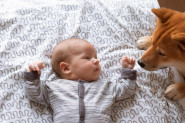 OPASAN PAS SE UŠUNJAO U SOBU BEBE OD 8 DANA: Mama je u panici uletela kod sina kad je shvatila da ne plače! (VIDEO)