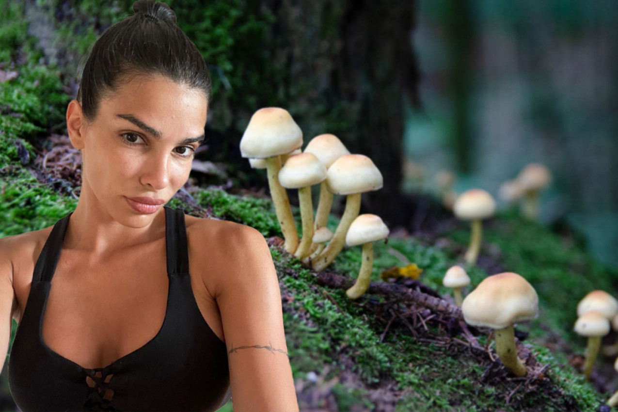 SRPSKA LEPOTICA SE U RESTORANU U BEOGRADU OTROVALA PEČURKAMA: "LICE MI VIŠE NE IZGLEDA ISTO"! Jovana prošla kroz agoniju, prvi simptomi javili su se posle 4 sata!