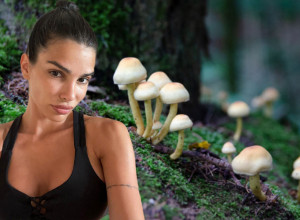 SRPSKA LEPOTICA SE U RESTORANU U BEOGRADU OTROVALA PEČURKAMA: 