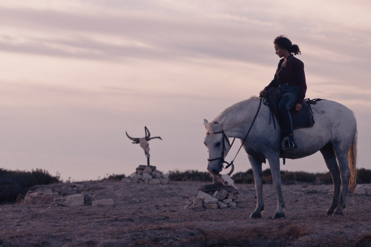 FILM "ŽIVOTINJA" NA REPEROTARU DOMAĆIH BIOSKOPA