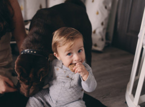 RODITELJI SU POKUŠAVALI DA NAUČE BEBU DA KAŽE MAMA: Usledio je šok kad se umesto deteta začuo pas! (VIDEO)