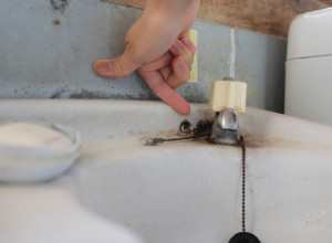 Da li znate koje su razlike između BUĐI i PLESNI: Ovo su zdravstveni rizici, a evo kako se čiste