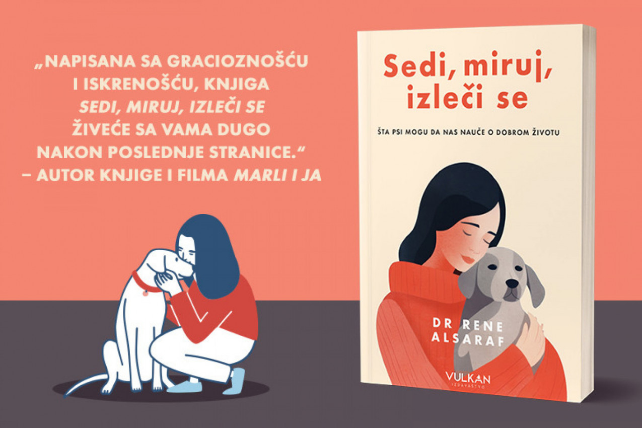 Dirljiva knjiga o ljubavi, hrabrosti i mudrosti pasa: "Sedi, miruj, izleči se" u prodaji Dirljiva knjiga o ljubavi, hrabrosti i mudrosti pasa: "Sedi, miruj, izleči se" u prodaji