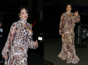 Ešli Grejem dominirala u provokativnoj kombinaciji na premijeri filma "All’s Fair" i pokazala svu moć ženskog šarma