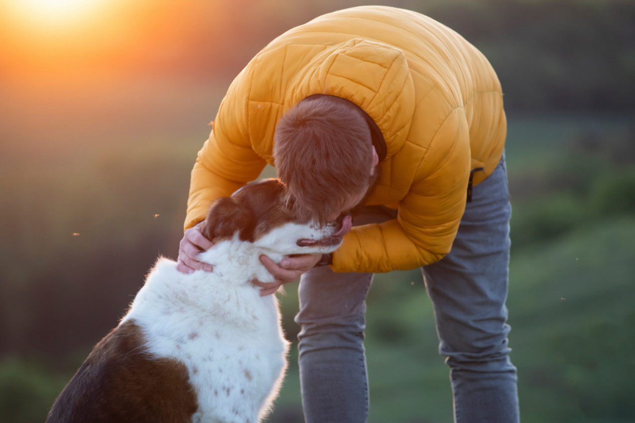 IZGUBIO je PSA pre 5 godina: Jedna slučajna objava sa Instagrama promenila je sve i svima naterala suze na oči! (VIDEO)